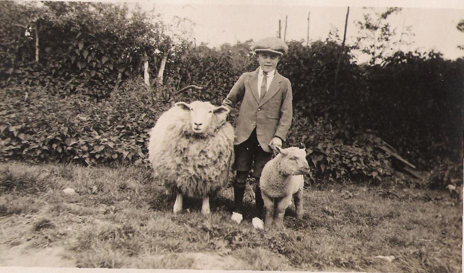 Undated - Lad & Sheep